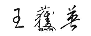 骆恒光王获英草书个性签名怎么写