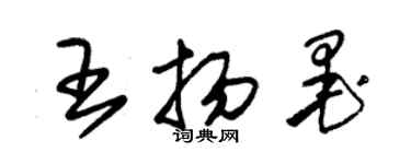 朱锡荣王扬墨草书个性签名怎么写