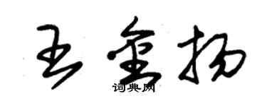 朱锡荣王金扬草书个性签名怎么写