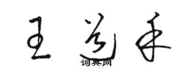 骆恒光王道禾草书个性签名怎么写