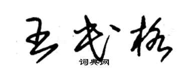 朱锡荣王民格草书个性签名怎么写