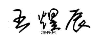 朱锡荣王煜辰草书个性签名怎么写