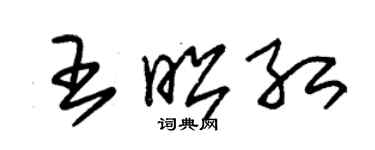 朱锡荣王昭红草书个性签名怎么写