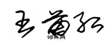 朱锡荣王苗红草书个性签名怎么写