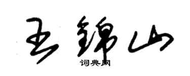 朱锡荣王锦山草书个性签名怎么写