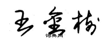 朱锡荣王金树草书个性签名怎么写