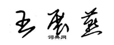 朱锡荣王展燕草书个性签名怎么写