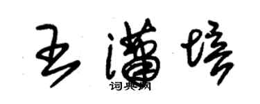朱锡荣王潇培草书个性签名怎么写