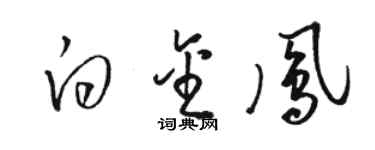 骆恒光白金凤草书个性签名怎么写