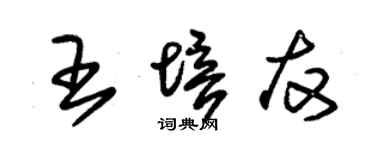 朱锡荣王培友草书个性签名怎么写
