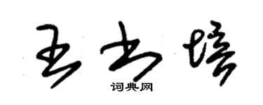 朱锡荣王书培草书个性签名怎么写