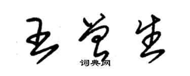朱锡荣王曾生草书个性签名怎么写