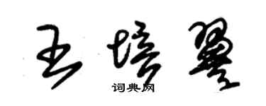 朱锡荣王培翼草书个性签名怎么写