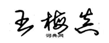 朱锡荣王梅真草书个性签名怎么写