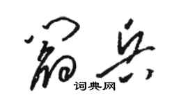 骆恒光阎兵草书个性签名怎么写
