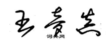朱锡荣王梦真草书个性签名怎么写