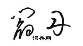 骆恒光阎丹草书个性签名怎么写