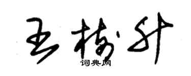 朱锡荣王树升草书个性签名怎么写