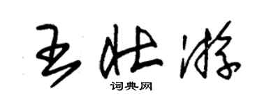 朱锡荣王壮游草书个性签名怎么写