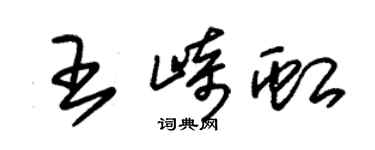 朱锡荣王崎虹草书个性签名怎么写