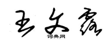 朱锡荣王文露草书个性签名怎么写