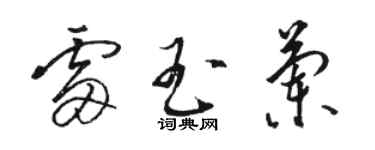 骆恒光雷玉兰草书个性签名怎么写