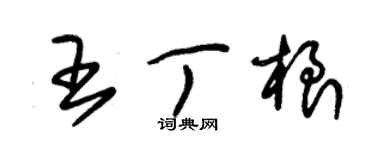 朱锡荣王丁根草书个性签名怎么写