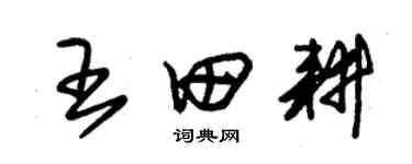 朱锡荣王田耕草书个性签名怎么写