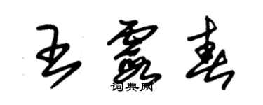 朱锡荣王霞春草书个性签名怎么写