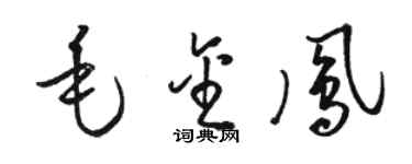 骆恒光毛金凤草书个性签名怎么写