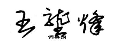 朱锡荣王垄烽草书个性签名怎么写