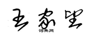 朱锡荣王家望草书个性签名怎么写