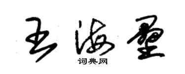 朱锡荣王海垒草书个性签名怎么写