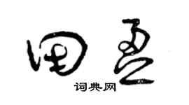 曾庆福田盈草书个性签名怎么写