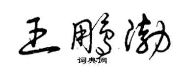 曾庆福王鹏渤草书个性签名怎么写