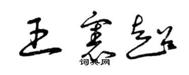 曾庆福王宪超草书个性签名怎么写