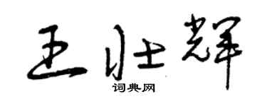 曾庆福王壮辉草书个性签名怎么写
