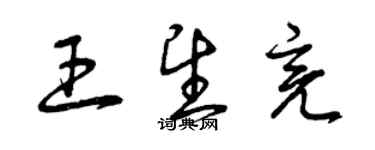 曾庆福王望亮草书个性签名怎么写