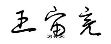 曾庆福王宙亮草书个性签名怎么写