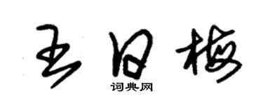 朱锡荣王日梅草书个性签名怎么写