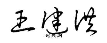 曾庆福王健洪草书个性签名怎么写