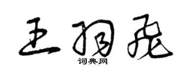 曾庆福王羽飞草书个性签名怎么写
