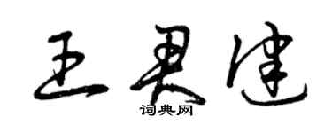 曾庆福王君健草书个性签名怎么写