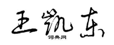 曾庆福王凯东草书个性签名怎么写