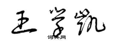 曾庆福王学凯草书个性签名怎么写