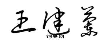 曾庆福王健兰草书个性签名怎么写