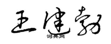 曾庆福王健勃草书个性签名怎么写