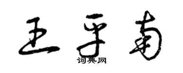 曾庆福王平南草书个性签名怎么写