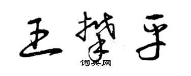 曾庆福王攀平草书个性签名怎么写