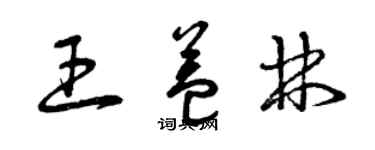 曾庆福王益林草书个性签名怎么写